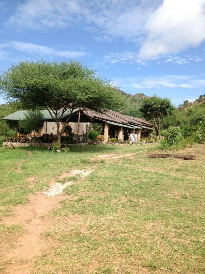 The main lodge building with acacia tree canopy